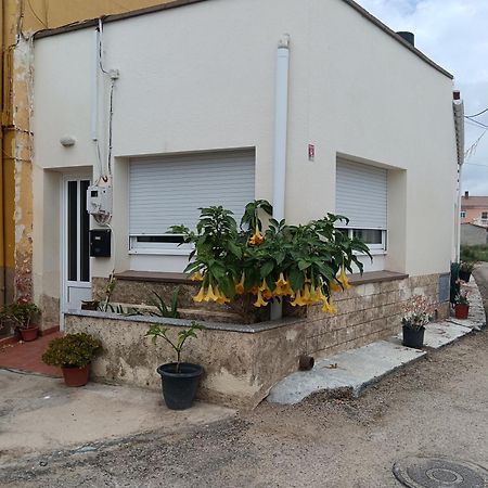 Casa Pili Βίλα Sant Jaume d'Enveja Εξωτερικό φωτογραφία